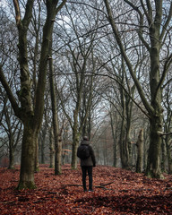 walking in the woods