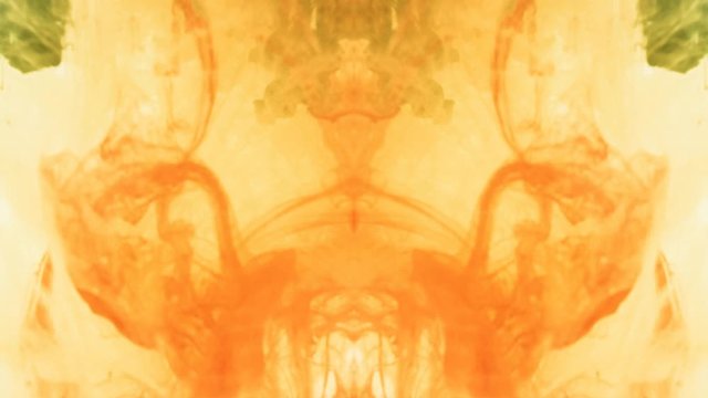 Liquid ink psychedelic Rorschach symmetrical abstract smoke blood abstract effect biological concept