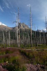 sunny mountain peaks