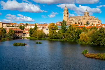 Fototapeta premium Catedral Nueva de Salamanca