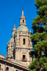 Fototapeta na wymiar Catedral Nueva de Salamanca