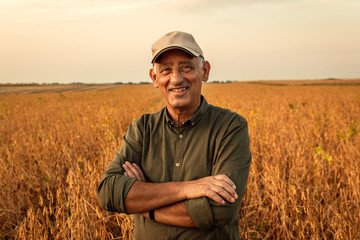 Portrait of senior farmer standing in soybean field examining crop at sunset.