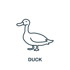 Duck icon from home animals collection. Simple line element Duck symbol for templates, web design and infographics