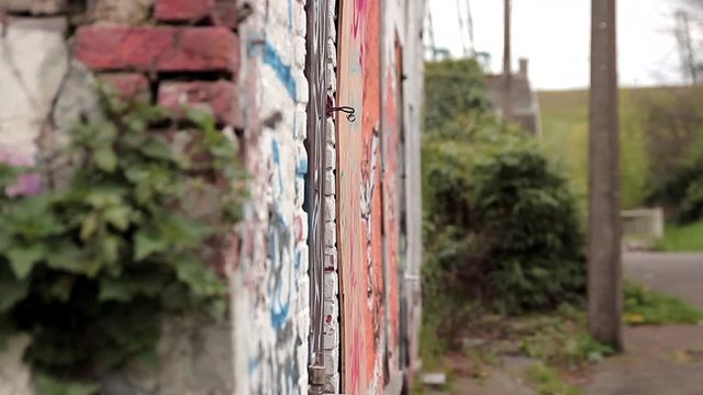abandoned building in Doel Belgium, nature taking over