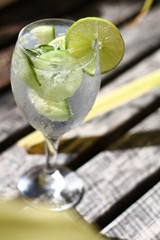 gin tonic