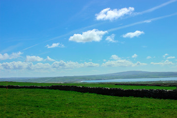 landscape green grass