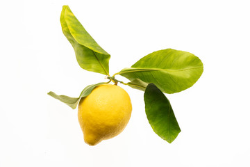 lemon with leaves isolated on white background