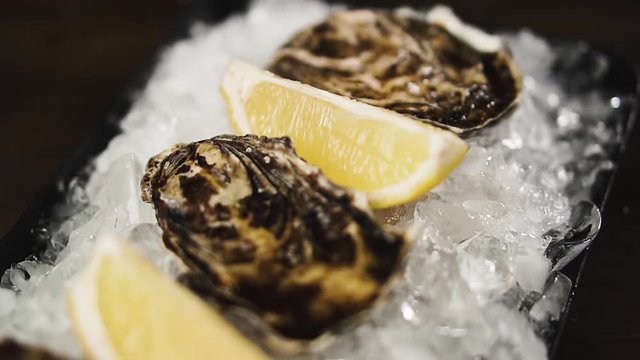 Fresh oysters with lemon on a plate with ice, dolly shot.