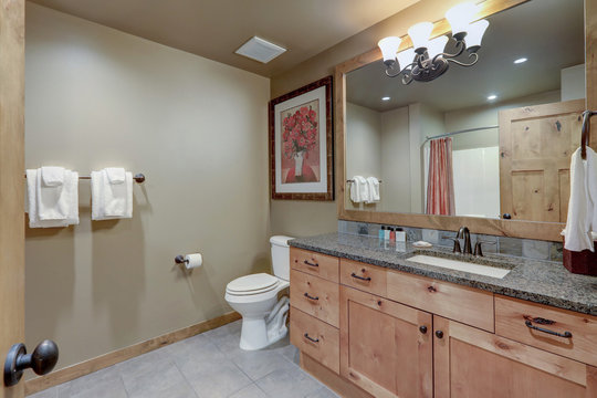 Natural tones large luxury condo or home bathroom interior.