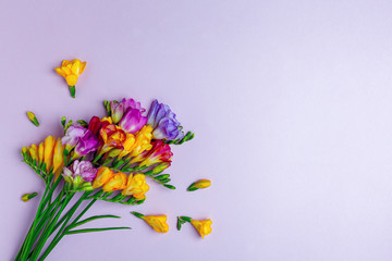 Bouquet of colorful freesias.