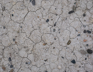 White Cracked Dry Ground Texture