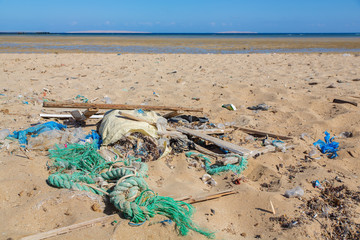 Fototapeta na wymiar Washed up waste on the egyptian beach
