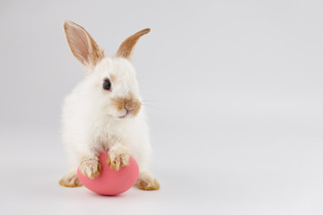 Easter bunny rabbit with pink egg