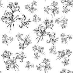 Wild lily pattern, black outline isolated on white background, vector illustration for design and decoration