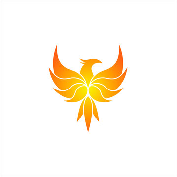 23 854 Best Phoenix Bird Logo Images Stock Photos Vectors Adobe Stock