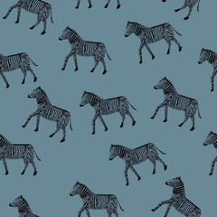 Fototapeta na wymiar seamless pattern of many zebras on blue background