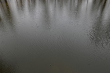 The water surface with reflection of trees, it is raining and raindrops fall into the water forming ripples.