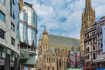 Obraz premium Saint Stephen's Cathedral in Vienna