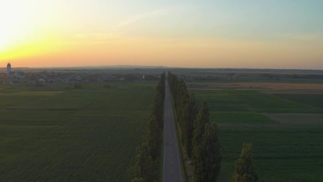 Aerial shot following cinematic road and tree line in warm and soft sunset light