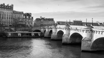 Fototapeta premium Pont Neuf Paris