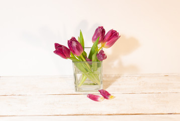bouquet of pink tulips with fading petals in glass vase on white background