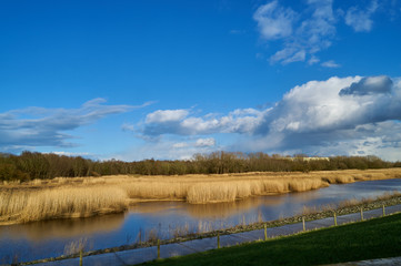 the Warflether Arm of the river Weser (Stedingen, district Wesermarsch, Germany) next to yellow reed under scenic vivid blue sky with clouds