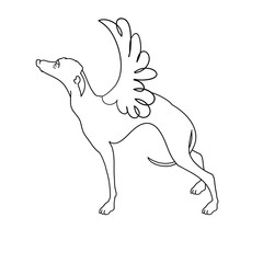 Elegant Greyhound with wings drawn in one line. Illustration of hand drawn greyhound dog. Beautiful design elements, ink drawing, funny illustration of cute dogs