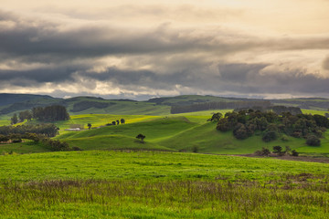 Norther California rolling hills 