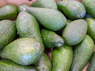 fresh organic avocado at the market