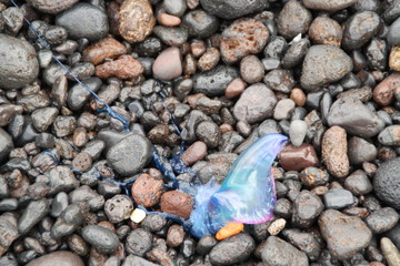 Un alien entre rocas