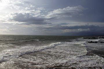 SONY DSC
