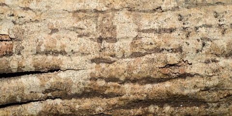 Isolated wood texture pattern that can be used as a wallpaper background