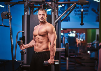 Fototapeta na wymiar Fit muscled sportsman doing excersises with dumbbells on his biceps in a bright gym looking serious
