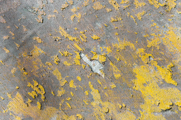 Wooden panel with badly peeling, cracked yellow paint and chipped piece of surface in center of sheet. Old natural grunge textured wood texture for your design