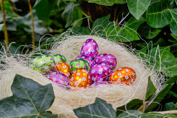 Chasse aux oeufs pour Pâques (Easter Egg Hunt). Easter Chocolate Eggs