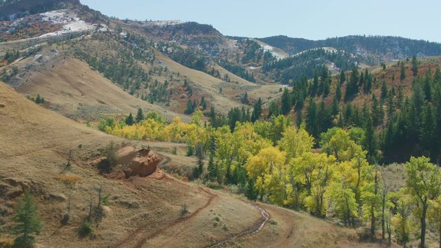 The bright gold color of Aspen trees in autumn dots the foothills of a mountain range in Montana