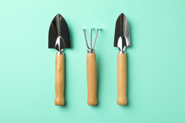 Gardening tools on mint background, top view