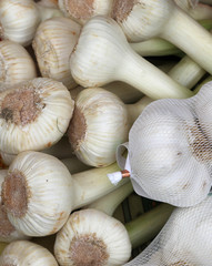 Fototapeta na wymiar white garlic clove for sale