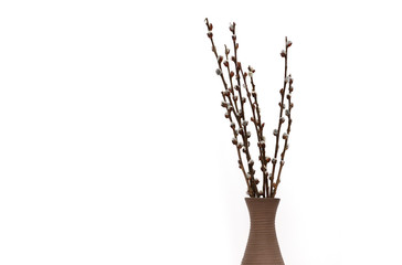 Fototapeta premium Catkin bud vase