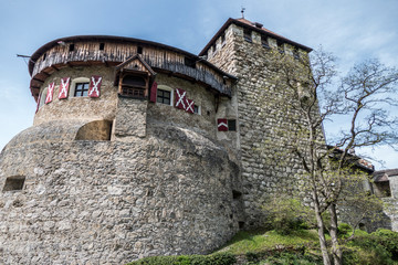 Fototapeta na wymiar Castle of Vaduz