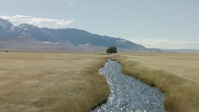 Flying over small creek in field