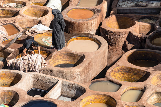 Tannery in Fes