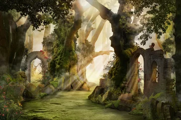 Foto op Plexiglas Kinderkamer de diepe bossen in, sfeervol landschap met boog en eeuwenoude bomen, mistige en mistige stemming