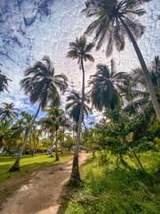 Tintinpan and isla Mucura in San Bernardo Islands, on Colombia's Caribbean Coast