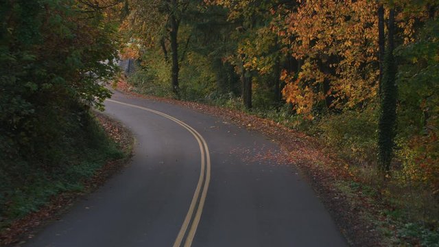 Driving down scenic winding road in fall