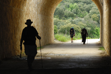Peregrinos pasando un túnel de la autovía A-12 en dirección a la localidad navarra de Lorca, en...