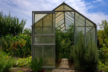 Obraz premium Garden greenhouse in backyard with blue sky, home gardening