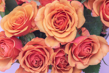 Concept of Happy Valentine's day. Mother's day card, 8 March, hearth roses