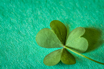 St Patrick's Day Green Shamrock on a Green Background