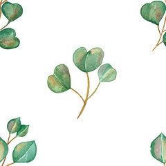 Watercolor hand painted nature eco seamless pattern with green different eucalyptus leaves on branches isolated on the white background, greenery plants print for design elements